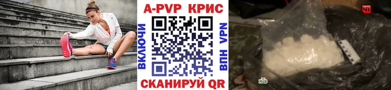 A PVP СК  Саратов 