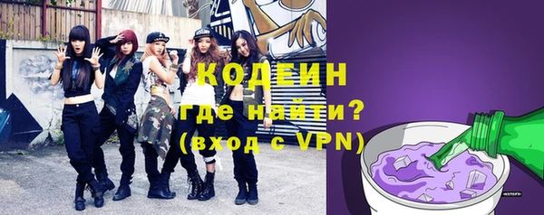 индика Абинск