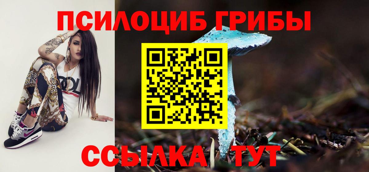 Галлюциногенные грибы прущие грибы  Псилоцибиновые грибы Cubensis  Вход с VPN  Саратов 